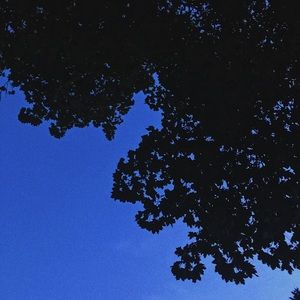 Meet your Posher, Keagan